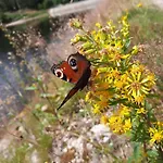 Au Coeur Des Lacs - D'hotes 4* Gérardmer