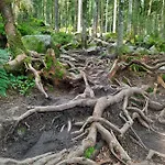 Nocleg ze śniadaniem Au Coeur Des Lacs - D'hotes 4*