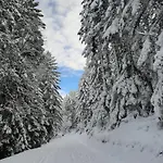 Nocleg ze śniadaniem Au Coeur Des Lacs - D'hotes Gérardmer