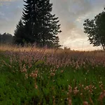 Au Coeur Des Lacs - D'hotes Nocleg ze śniadaniem Gérardmer