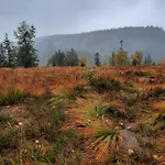 Au Coeur Des Lacs - D'hotes Gérardmer
