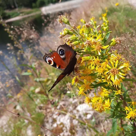 Au Coeur Des Lacs - D'hotes 4* Жерарме