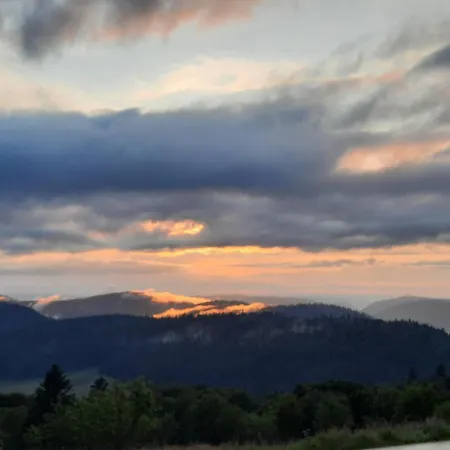 Au Cœur Des Lacs - D'hôtes&spa 3* Gérardmer