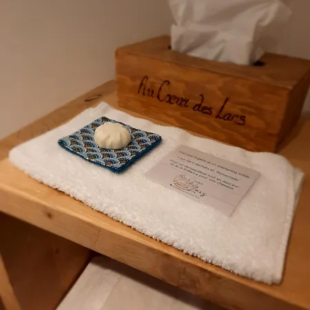 Au Coeur Des Lacs - D'hotes & B&B 제라르메르