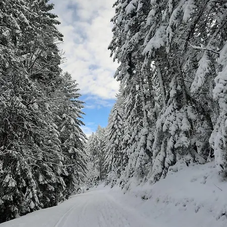 Bed & Breakfast Au Coeur Des Lacs - D'hotes Gérardmer