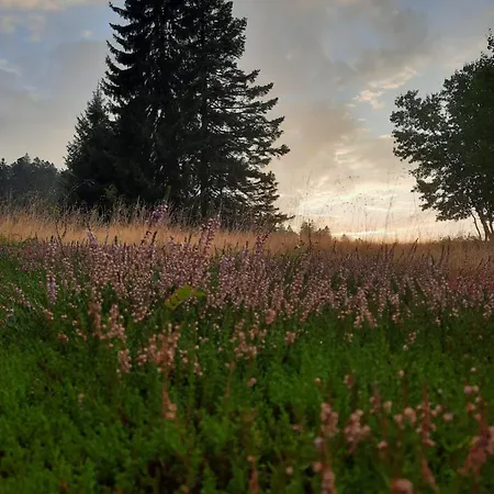 Au Coeur Des Lacs - D'hotes Bed & Breakfast Gérardmer