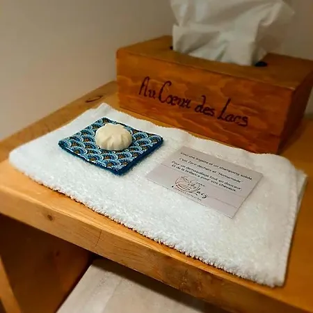 Au Coeur Des Lacs - D'hotes & Bed & Breakfast Gérardmer