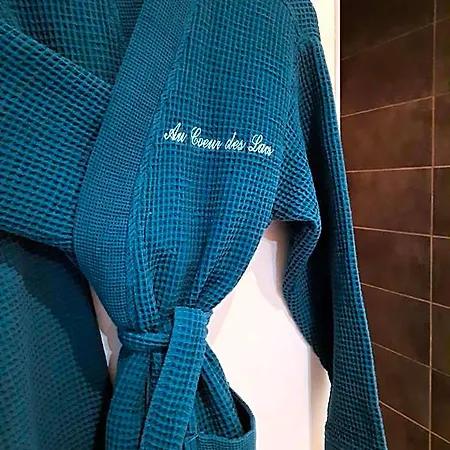 Au Coeur Des Lacs - D'hotes & 4*