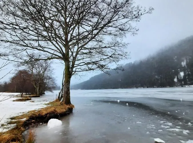 Au Coeur Des Lacs - D'hotes