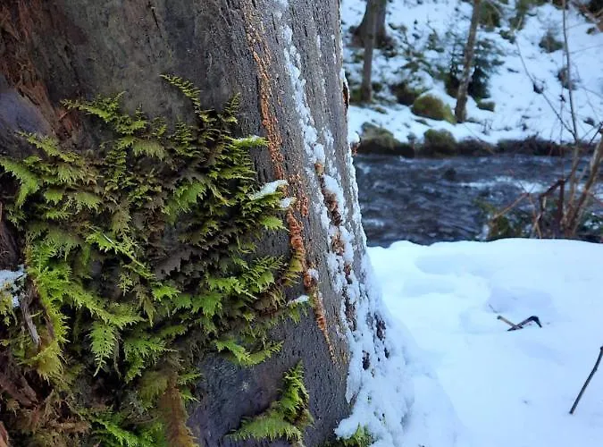 Bed & Breakfast Au Coeur Des Lacs - D'hotes