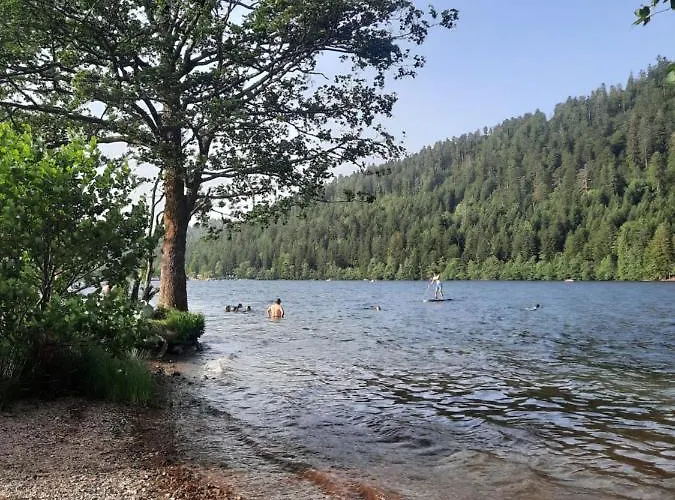Au Coeur Des Lacs - D'hotes Gérardmer