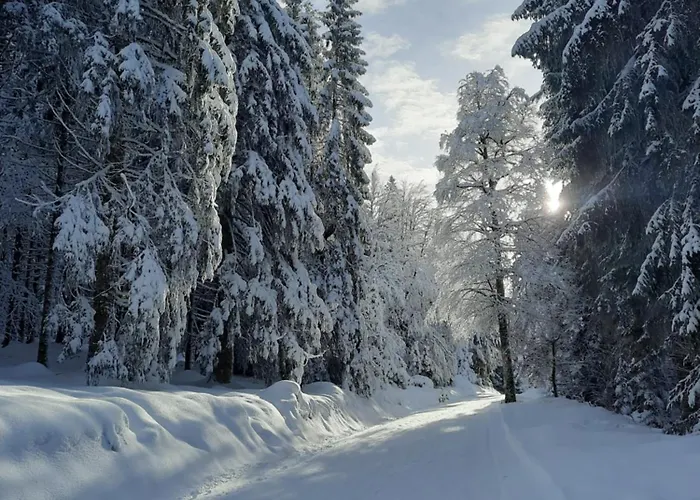 Au Coeur Des Lacs - D'hotes 4*