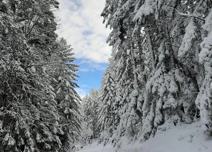 Bed & Breakfast Au Coeur Des Lacs - D'hotes Gérardmer