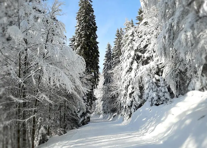 Bed & Breakfast Au Coeur Des Lacs - D'hotes