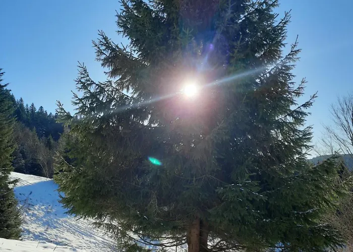 Au Coeur Des Lacs - D'hotes Bed & Breakfast 4*