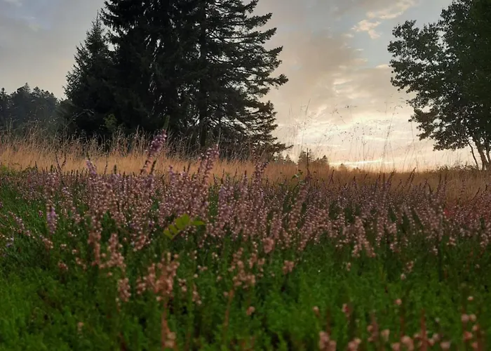 Au Coeur Des Lacs - D'hotes Bed & Breakfast Gérardmer