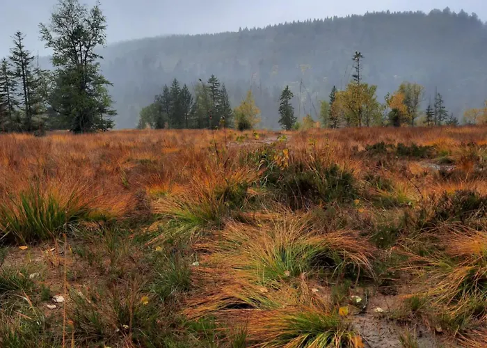 Au Coeur Des Lacs - D'hotes Gérardmer