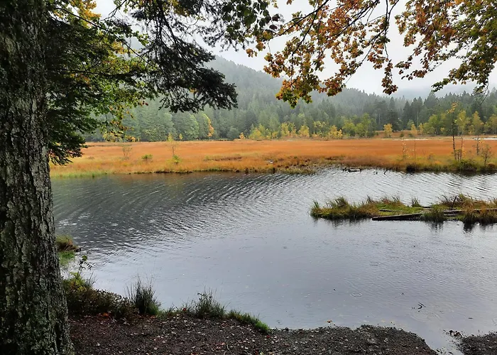 Au Coeur Des Lacs - D'hotes Bed & Breakfast